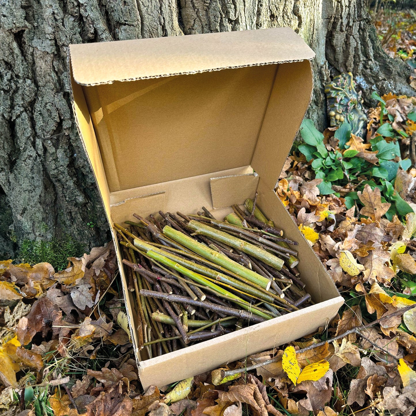 The Stick Box